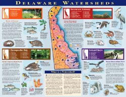 Delaware Watersheds Poster